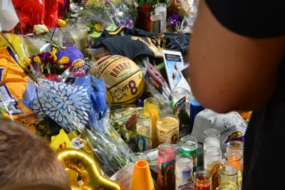 DSC_7178 (Large).JPG